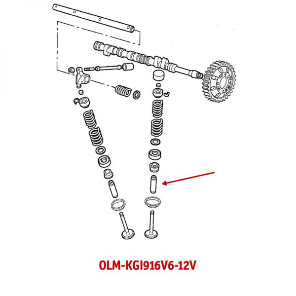 OLM-KGI916V6-12V