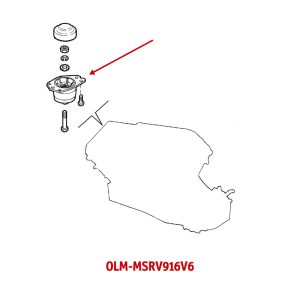 OLM-MSRV916V6