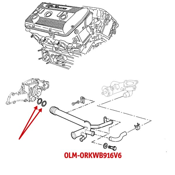 OLM-ORKWB916V6