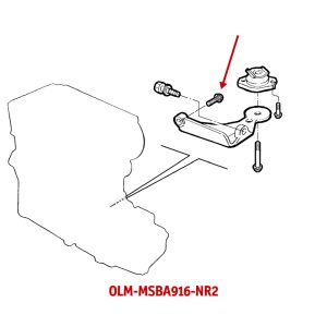 OLM-MSBA916-NR2