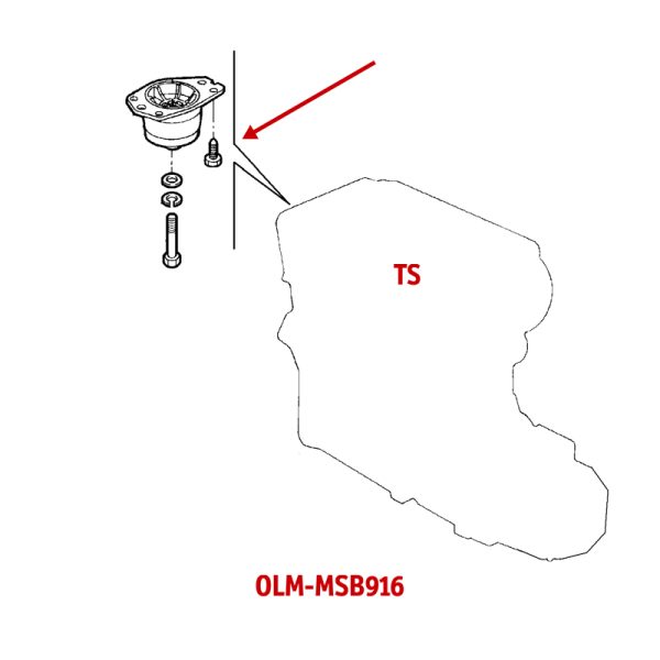 OLM-MSB916